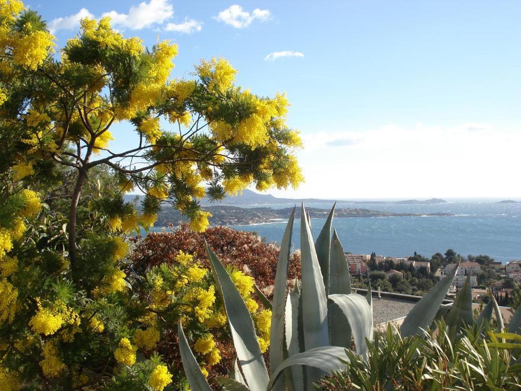 T2 Bandol Ideal Vacances 2 Etoiles Bagian luar foto