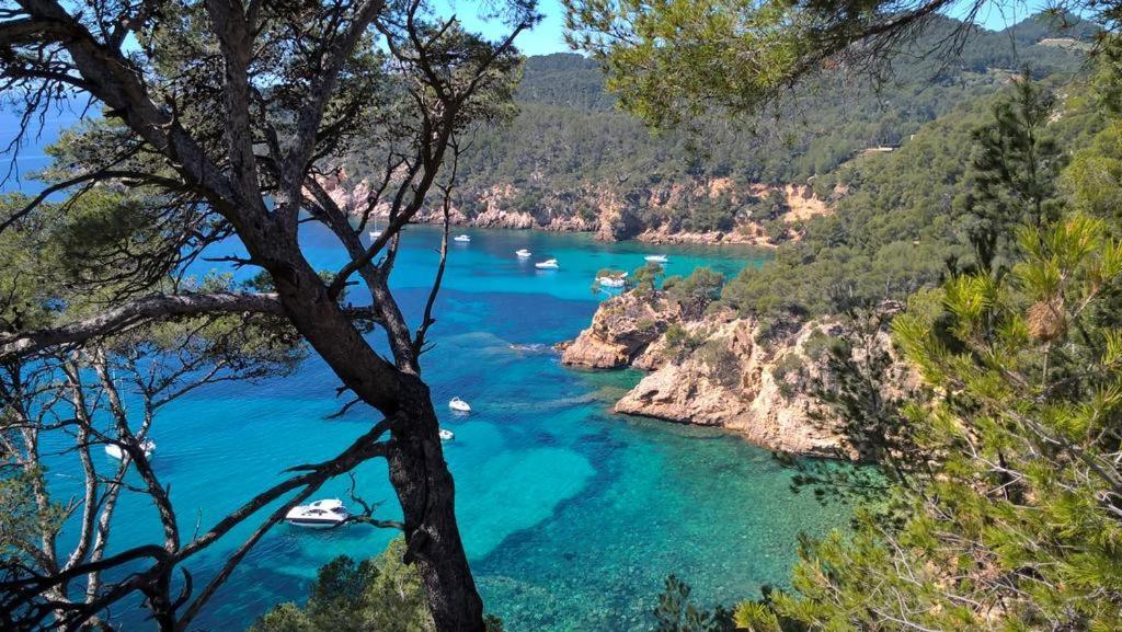 T2 Bandol Ideal Vacances 2 Etoiles Bagian luar foto